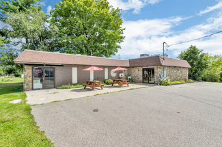 Plus de détails pour 12151 E Chicago Rd, Somerset Center, MI - Vente au détail à vendre