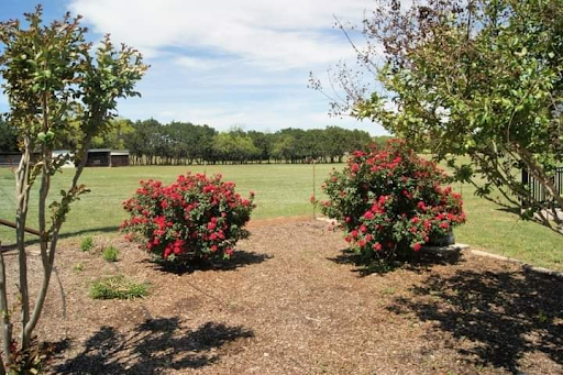 601 County Road 340A, Burnet, TX à vendre Photo principale- Image 1 de 1