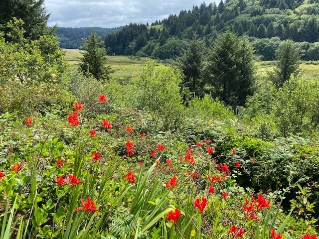 TL 203 Beaver Creek, Seal Rock, OR à vendre - Autre - Image 2 de 12