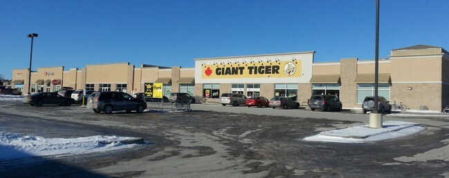 Plus de détails pour 320-324 Coleman St, Carleton Place, ON - Commerce de détail à louer