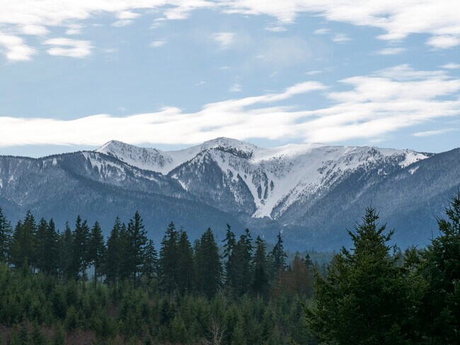 Plus de détails pour NKA Deer Park Rd, Port Angeles, WA - Terrain à vendre