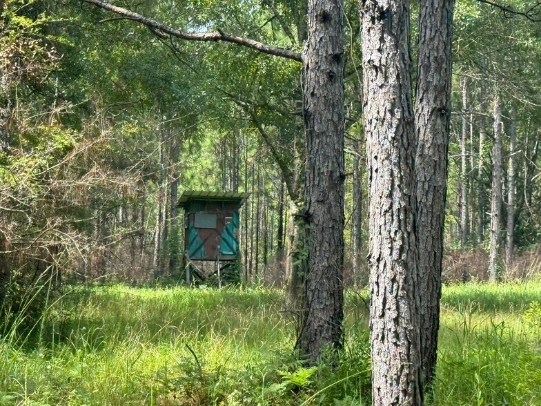 0 Nokomis Road, Walnut Hill, FL à vendre - Photo du bâtiment - Image 3 de 51