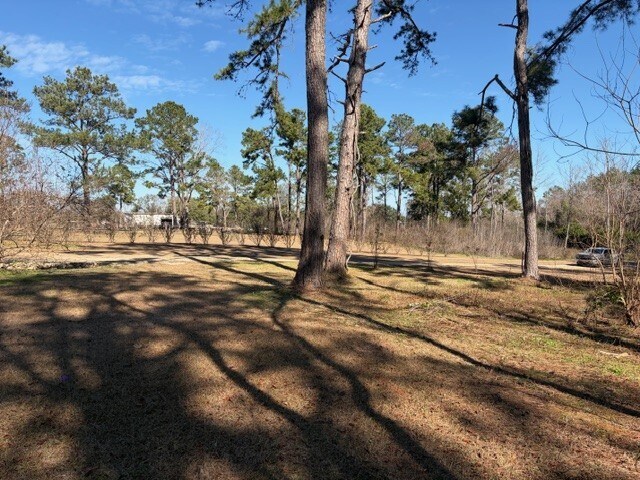 Louvinia Dr, Tallahassee, FL à vendre - Photo du bâtiment - Image 2 de 10