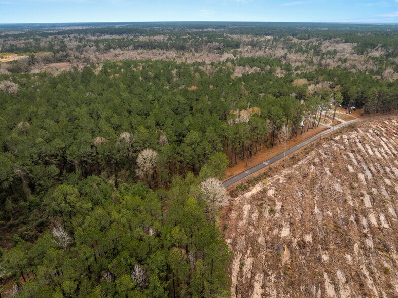 TBD 11 acres Tatoo Rd, Glenmora, LA for sale - Building Photo - Image 3 of 17