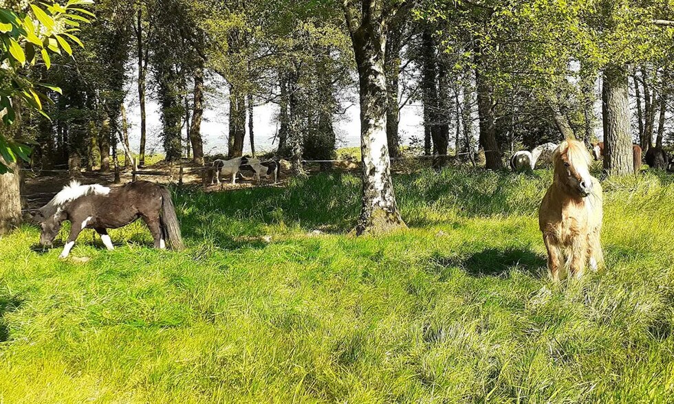 Flex in Malguénac for sale - Building Photo - Image 2 of 12