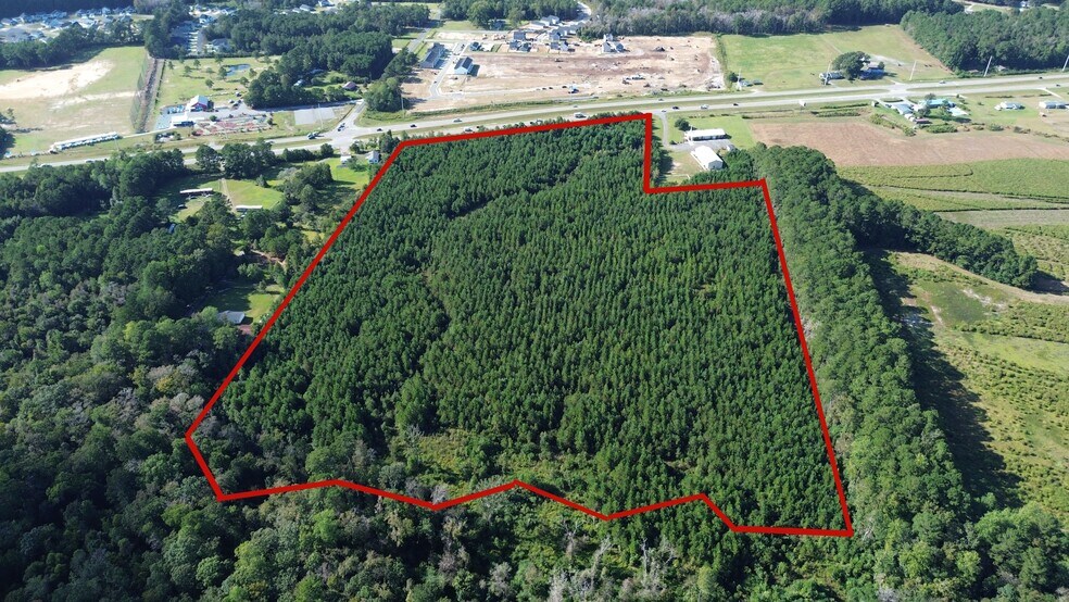 Hwy 17 & Bell Swamp Connection NE NE, Leland, NC for sale - Building Photo - Image 1 of 3