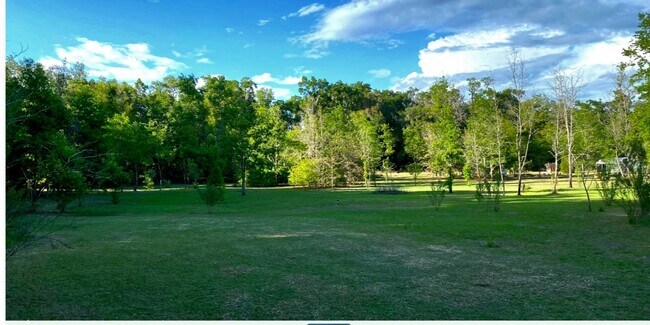Plus de détails pour 18139 US 301, Dade City, FL - Terrain à vendre