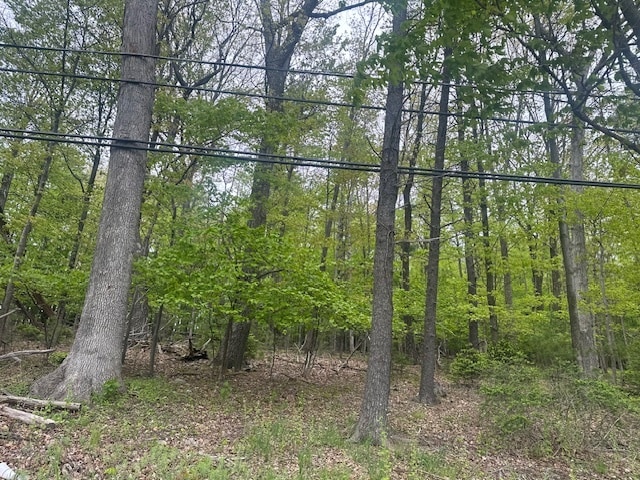 Route 611, Swiftwater, PA for sale - Other - Image 2 of 3