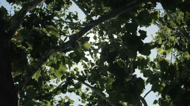 2603-2633 Camino Ramon, San Ramon, CA à louer - Vidéo sur l’inscription commerciale - Image 2 de 16