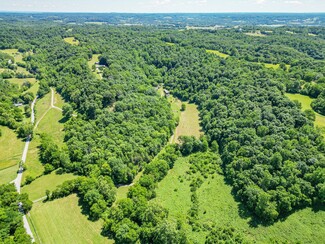 Plus de détails pour 804 Ball Hollow Branch Rd, Lynnville, TN - Terrain à vendre