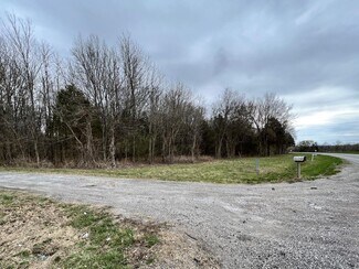 More details for 00 US Highway 51, De Soto, IL - Land for Sale