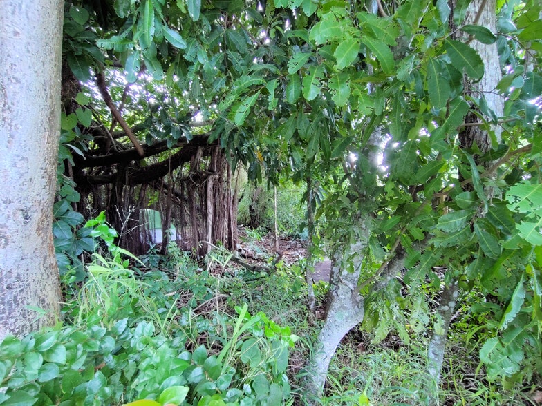 5470 SE Ebbtide Ave, Stuart, FL à vendre - Autre - Image 3 de 36