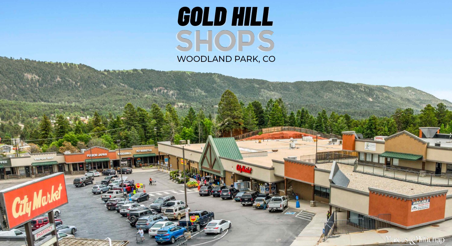 770 Gold Hill Place hl, Woodland Park, CO à vendre Photo principale- Image 1 de 7