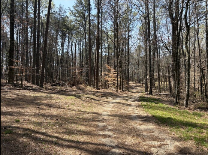 375 Pleasant Union Rd, Canton, GA for sale Primary Photo- Image 1 of 1