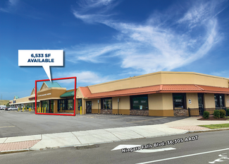 More details for 6520-6560 Niagara Falls Blvd, Niagara Falls, NY - Retail for Lease