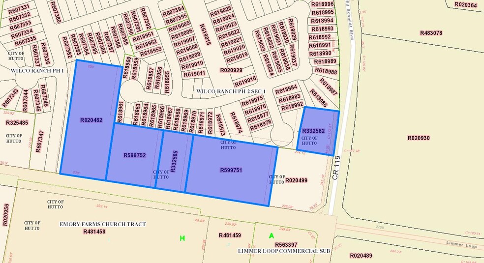 Limmer Loop, Hutto, TX à vendre - Plan cadastral - Image 2 de 3