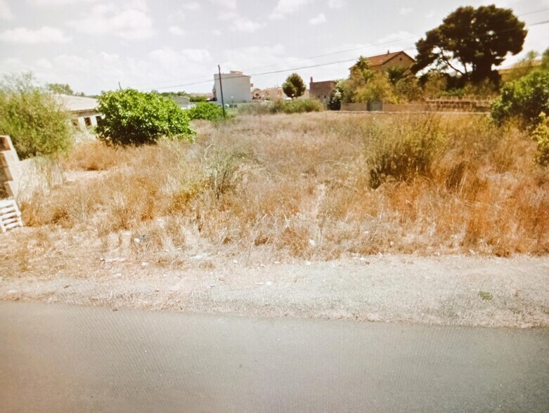 Land in Ses Salines, Islas Baleares for sale - Primary Photo - Image 1 of 3