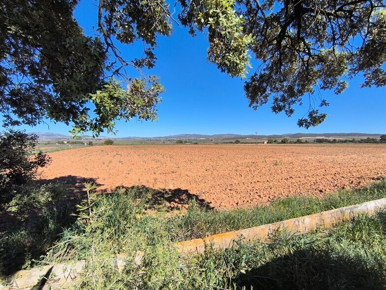 Land in Yecla, Murcia for sale - Aerial - Image 2 of 4