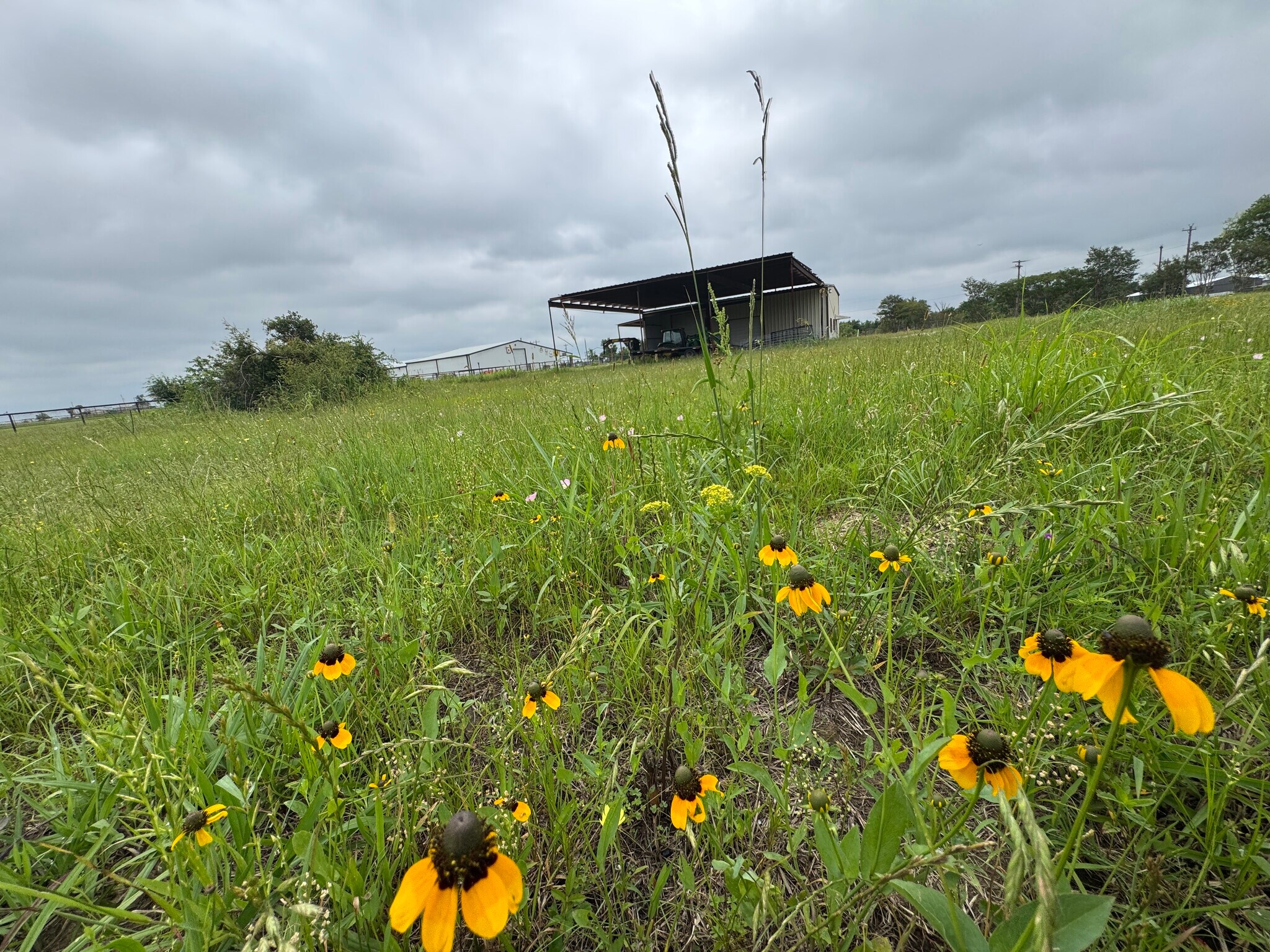 3552 S State Highway 19, Emory, TX à vendre Photo du bâtiment- Image 1 de 15