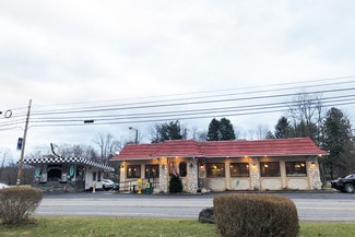 More details for 910 Route 390, Cresco, PA - Retail for Sale