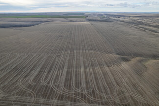 Plus de détails pour Hwy 21, Odessa, WA - Terrain à vendre