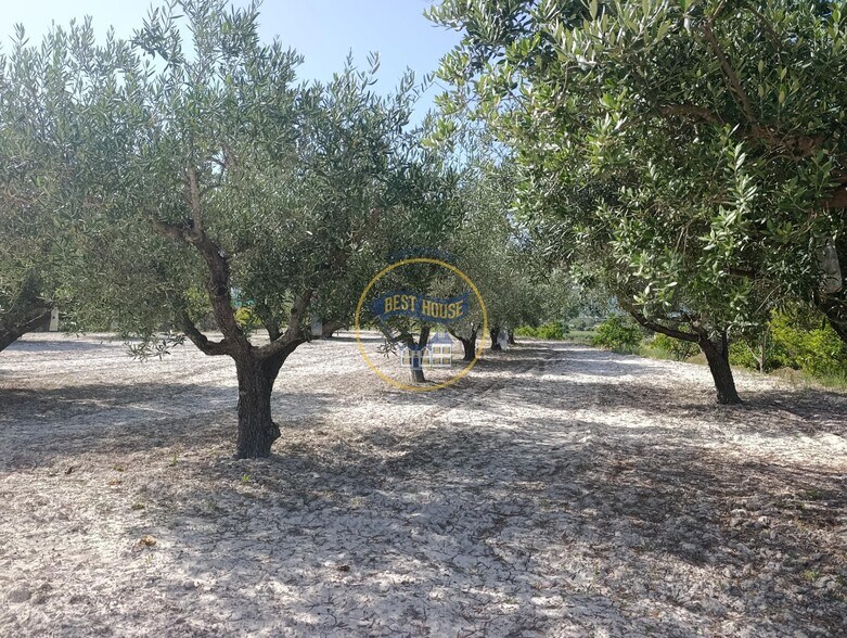 Terrain dans Ontinyent, Valencia à vendre - Photo du bâtiment - Image 2 de 12