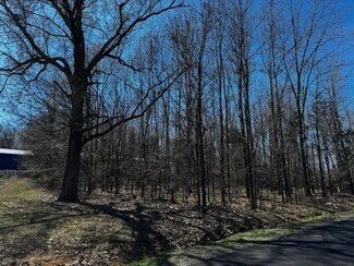 Plus de détails pour 5 and 6 Land Between the Lakes Gateway, Cadiz, KY - Terrain à vendre