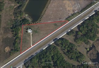 Plus de détails pour 10308 US-301, Parrish, FL - Terrain à vendre