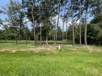 Plus de détails pour 4106 Hwy 69 S Hwy, Lumberton, TX - Terrain à vendre