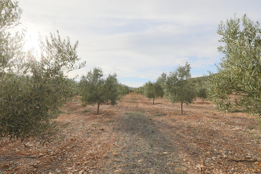 Cijancos, 1-1, Villamena, Granada à vendre - Photo du bâtiment - Image 2 de 29