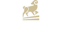 Lamb & Co