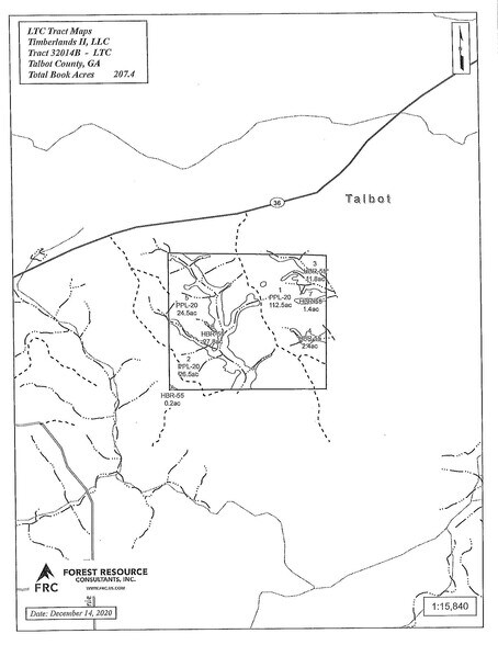 Talbot County Tract 32014B, Woodland, GA à vendre - Plan de site - Image 2 de 2