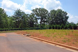 Plus de détails pour 120 Spillman Ct, Travelers Rest, SC - Terrain à vendre