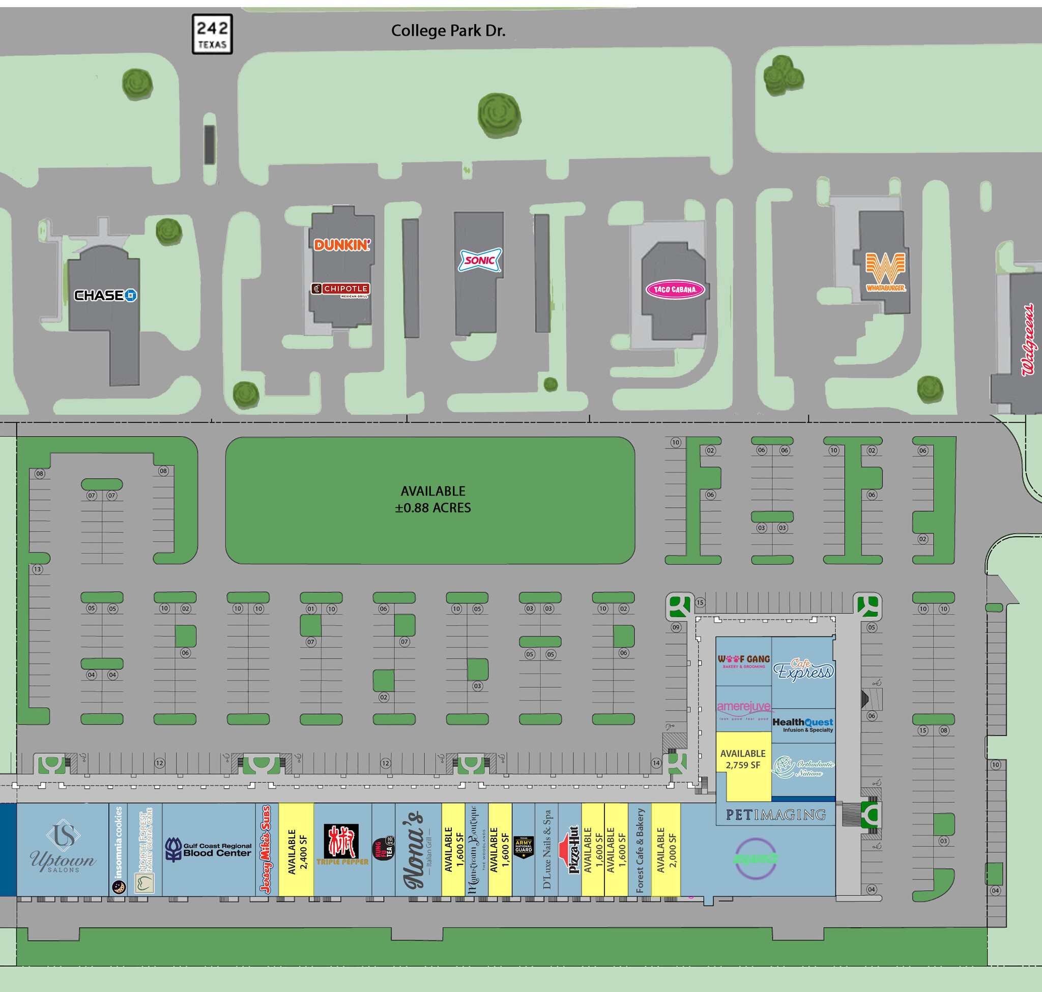 3091 College Park Dr, The Woodlands, TX à louer Plan de site- Image 1 de 1