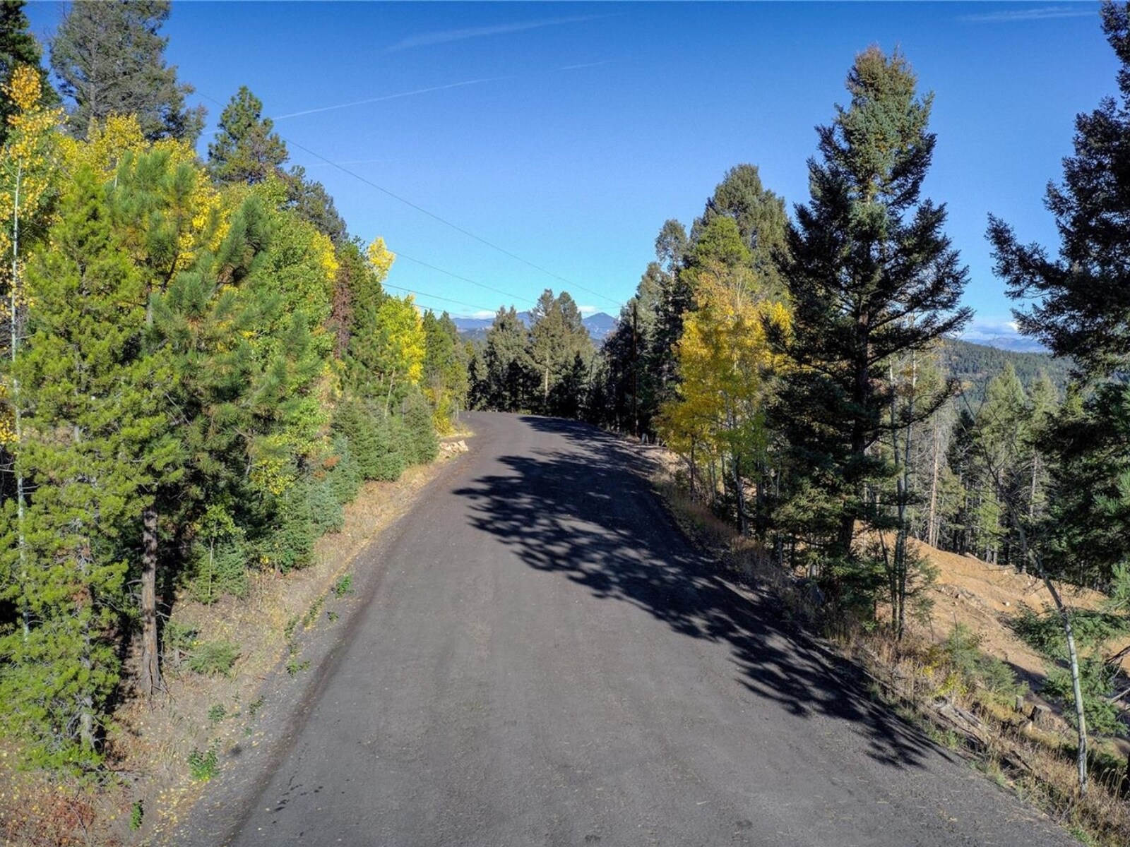 12350 Powhatan Tr, Conifer, CO for sale Primary Photo- Image 1 of 10