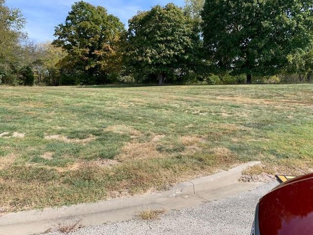 NE Twin Oaks Pkwy & J Hwy, Peculiar, MO à vendre - Photo du bâtiment - Image 3 de 5