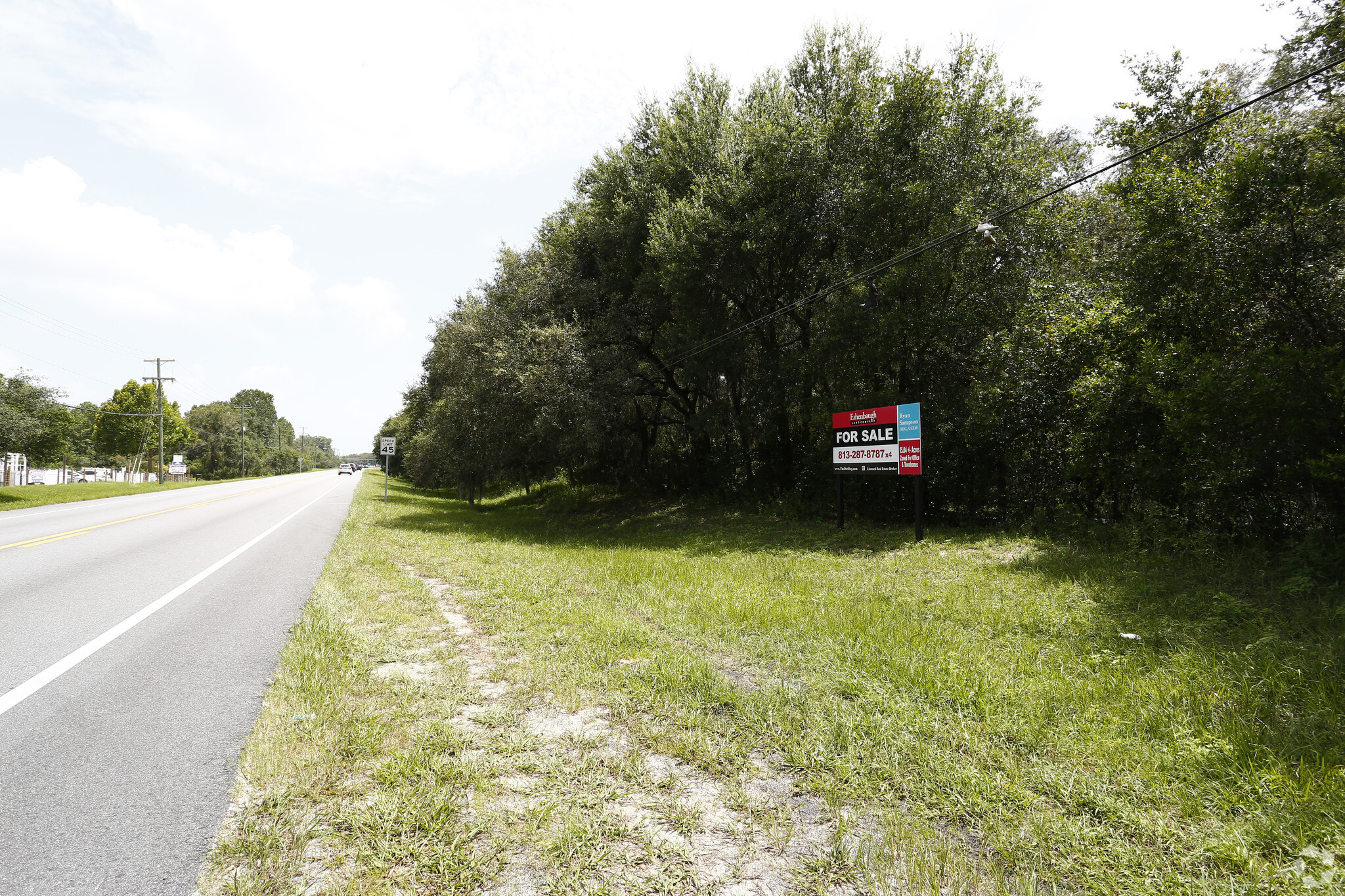 Lithia Pincrest Rd, Lithia, FL for sale Primary Photo- Image 1 of 1