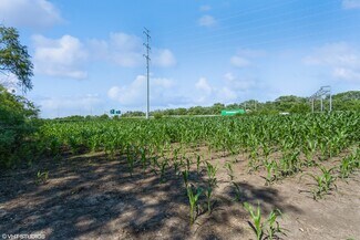 More details for 16100 S Gougar Rd, Lockport, IL - Land for Sale