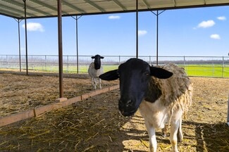 More details for 6873 20th Ave, Lemoore, CA - Land for Sale