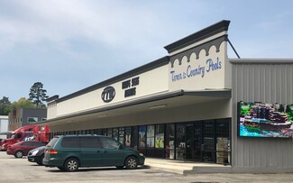 Plus de détails pour 32403 Fm-2978, Magnolia, TX - Local commercial à louer