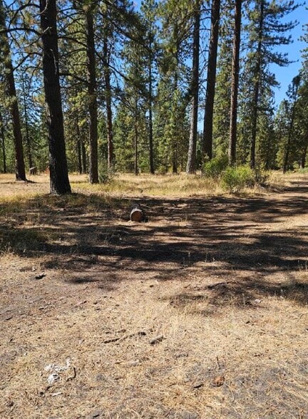 11 Parkside Court, Mccloud, CA à vendre - Photo du bâtiment - Image 1 de 7