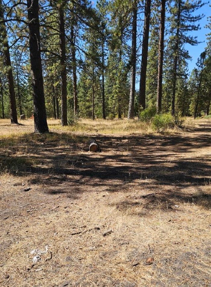 11 Parkside Court, Mccloud, CA for sale Building Photo- Image 1 of 8