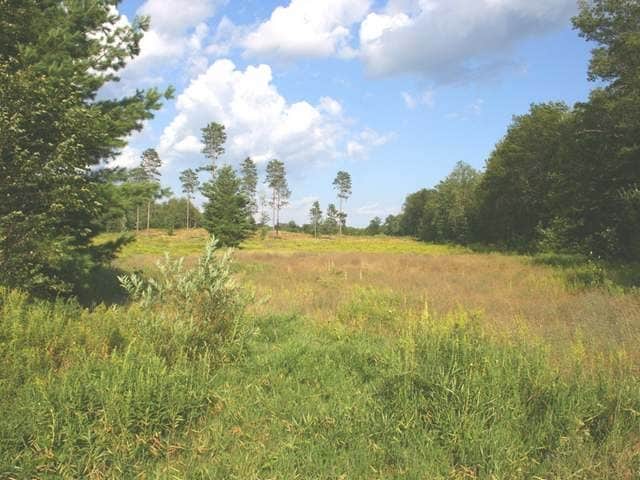 Westlawn & M61, Harrison, MI for sale Primary Photo- Image 1 of 2