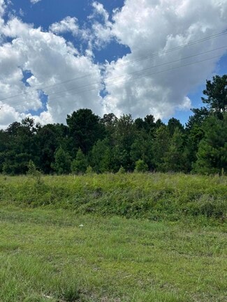 More details for 4315 Thomas Sumter hwy, Dalzell, SC - Land for Sale