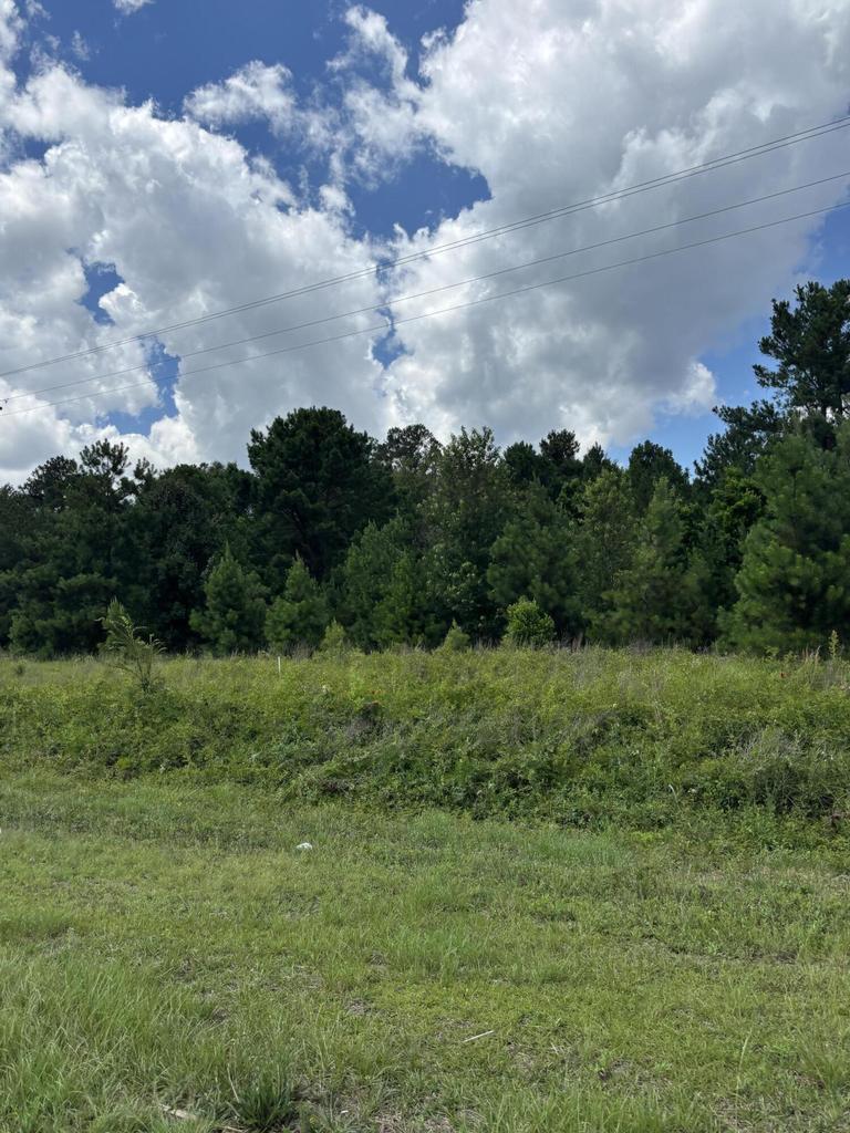 4315 Thomas Sumter hwy, Dalzell, SC for sale Primary Photo- Image 1 of 2