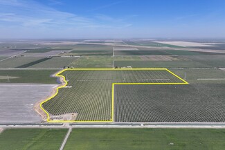 More details for W. Dinuba avenue, San Joaquin, CA - Land for Sale