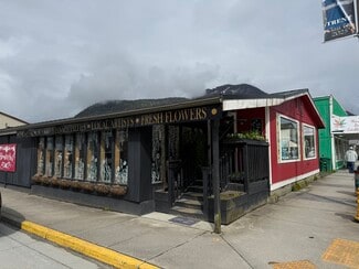 Plus de détails pour 307 N Nordic Dr, Petersburg, AK - Commerce de détail à vendre