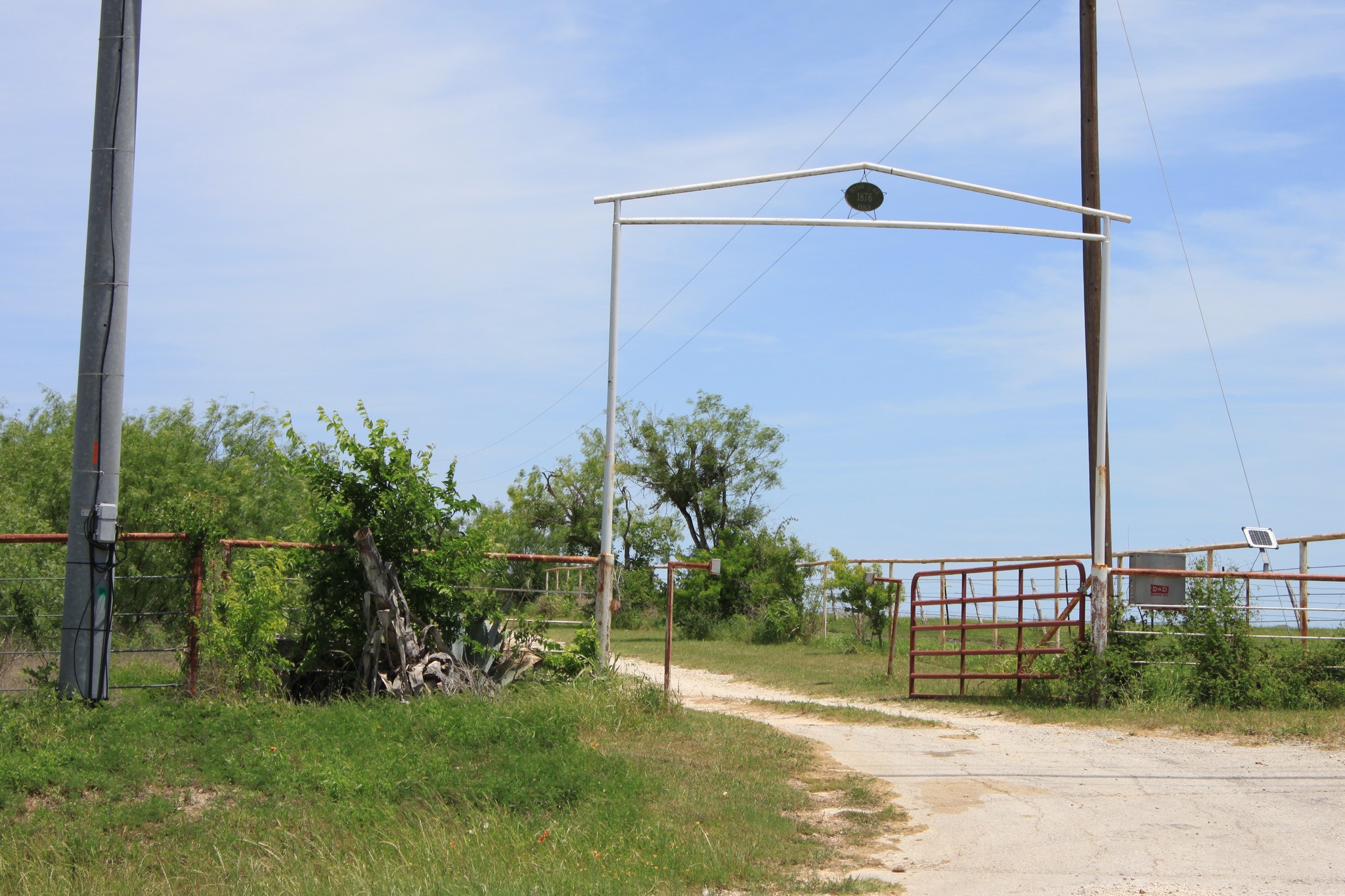 1876 FM 1103, Cibolo, TX for sale Primary Photo- Image 1 of 6