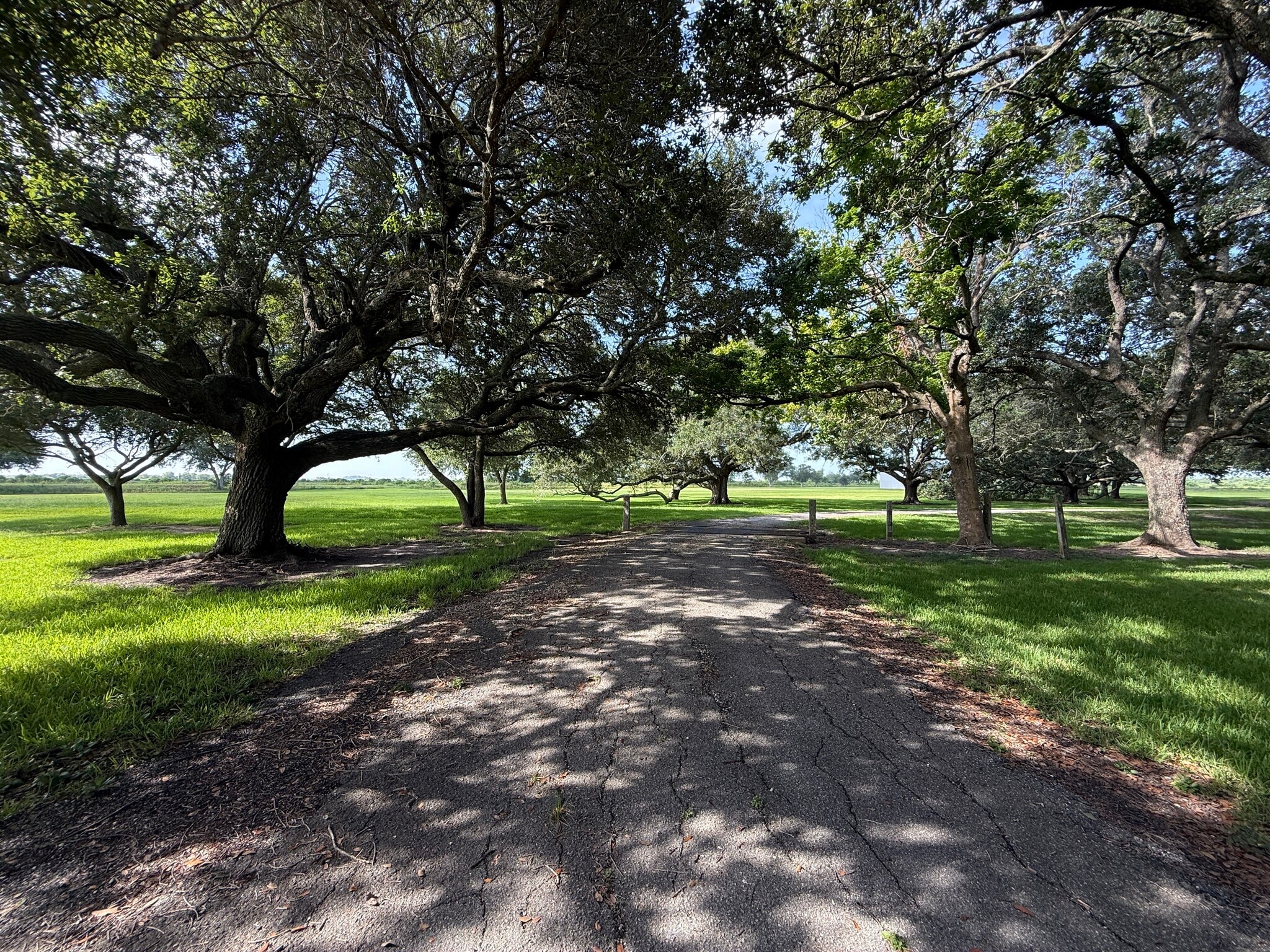 525 Olede Devillier Road, Winnie, TX for sale Primary Photo- Image 1 of 45