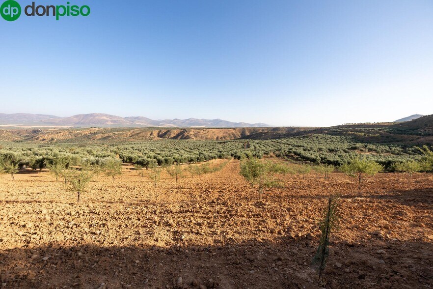 Calle Altillo Alto, Cogollos de la Vega, Granada for sale - Building Photo - Image 2 of 17